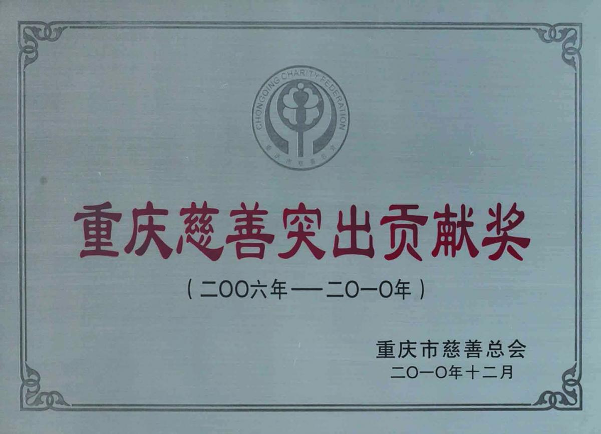 慈善突出贡献奖