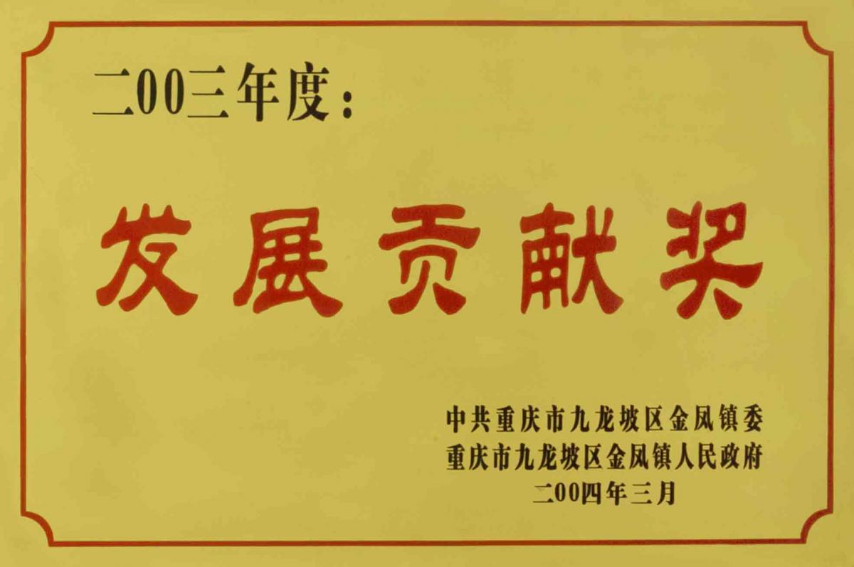 发展贡献奖