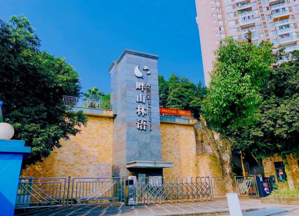 图片14